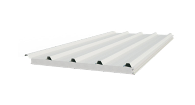 Insulated panel trapezoidal